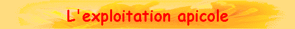 L'exploitation apicole