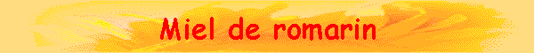 Miel de romarin