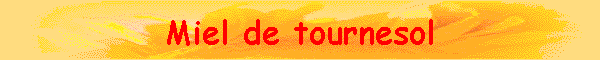 Miel de tournesol