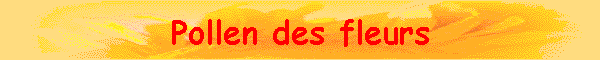 Pollen des fleurs