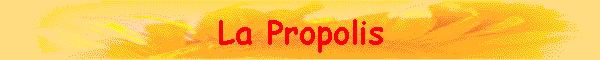 La Propolis